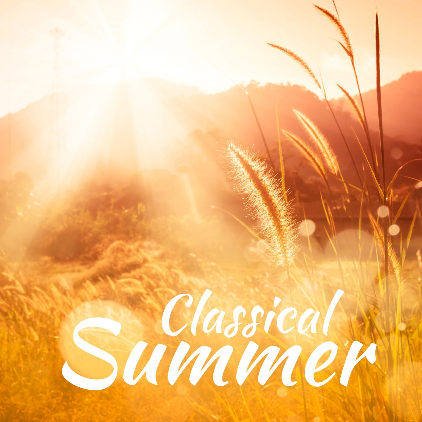 Classical Summer